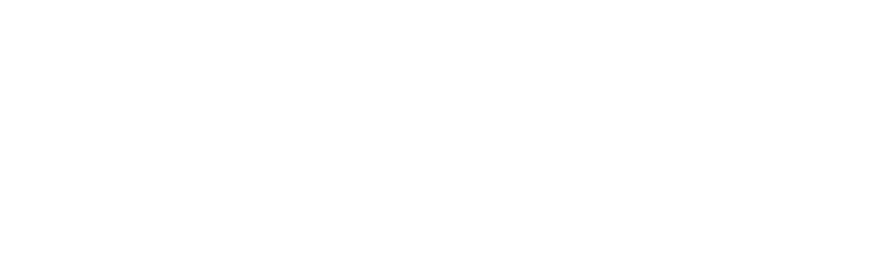 PAGES Logo All White
